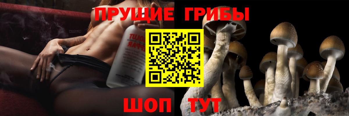 Псилоцибиновые грибы мухоморы Магнитогорск